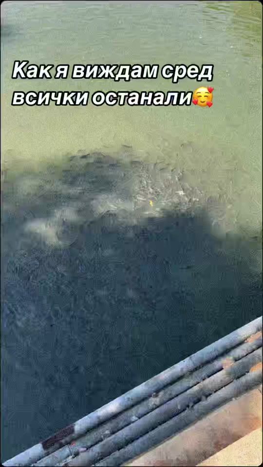 TikTok video thumbnail by denismihailov