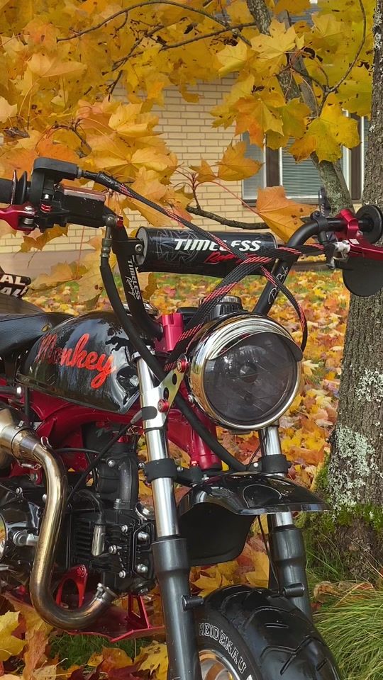 TikTok video thumbnail by sultsu72