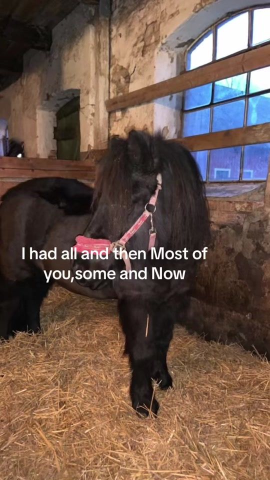 TikTok video thumbnail by hejsan90