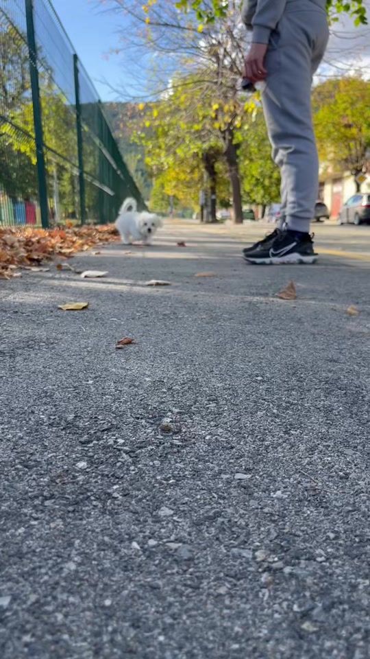 TikTok video thumbnail by ioanna_02