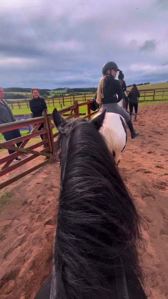 TikTok video thumbnail by riding.with.katie.123