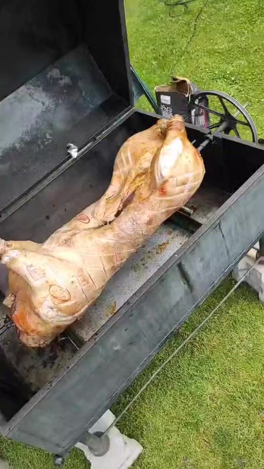 TikTok video thumbnail by jenik122