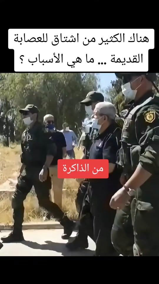 TikTok video thumbnail by discours.raisonnable