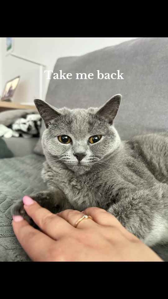 TikTok video thumbnail by kittylili