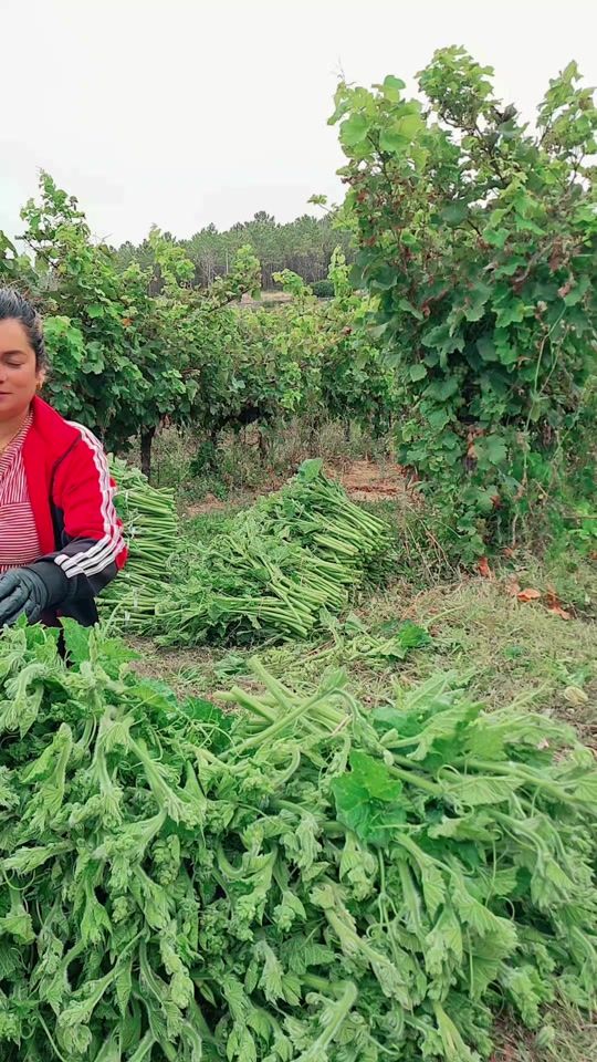 TikTok video thumbnail by yanikdl2