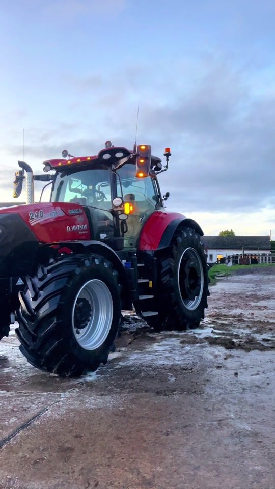 TikTok video thumbnail by danbark