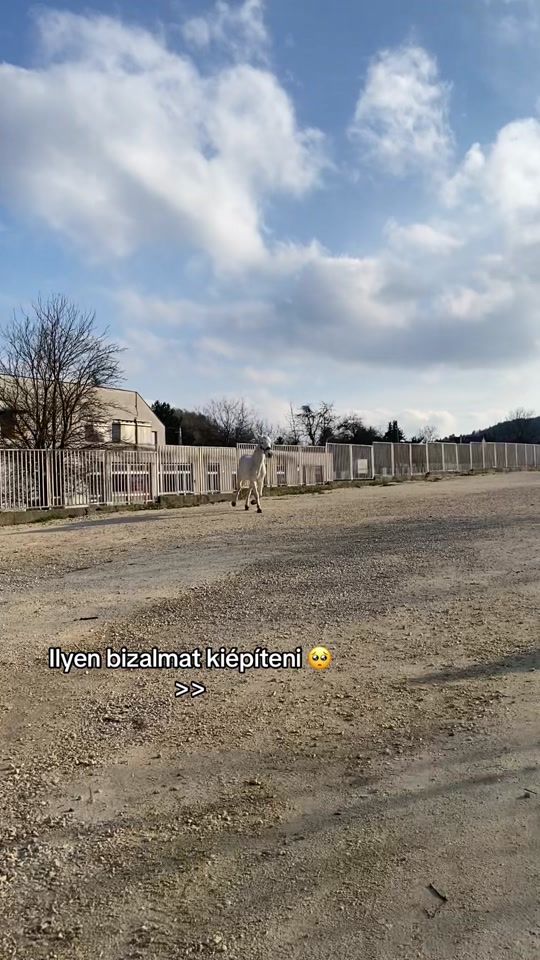 TikTok video thumbnail by emirideer