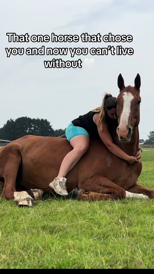 TikTok video thumbnail by chloehoustonbzl