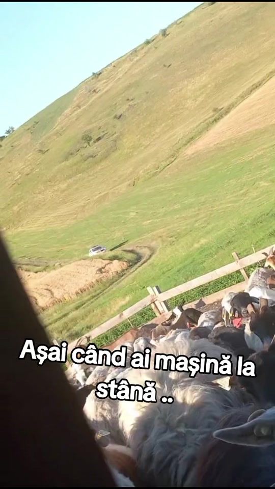 TikTok video thumbnail by ciprian.clv007