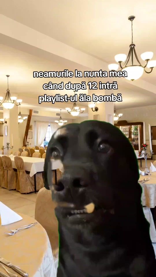 TikTok video thumbnail by alexandra.imm