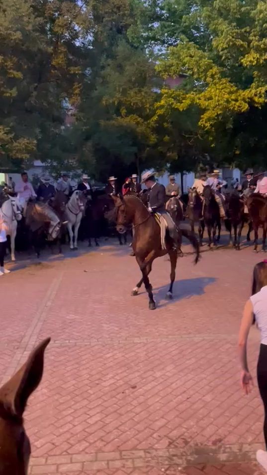 TikTok video thumbnail by adrianzoiloromero