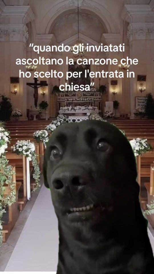 TikTok video thumbnail by nessunnome984