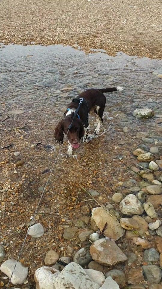 TikTok video thumbnail by stevenpratt925