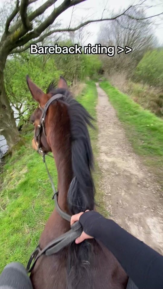 TikTok video thumbnail by hannxhd