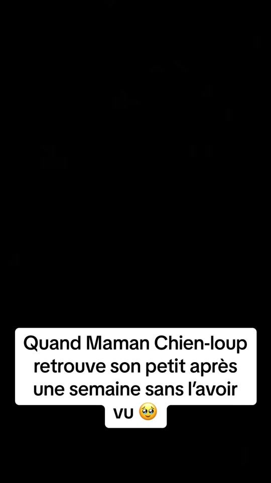 TikTok video thumbnail by barrowzzz