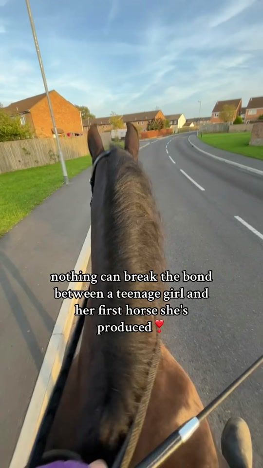 TikTok video thumbnail by orla_eq