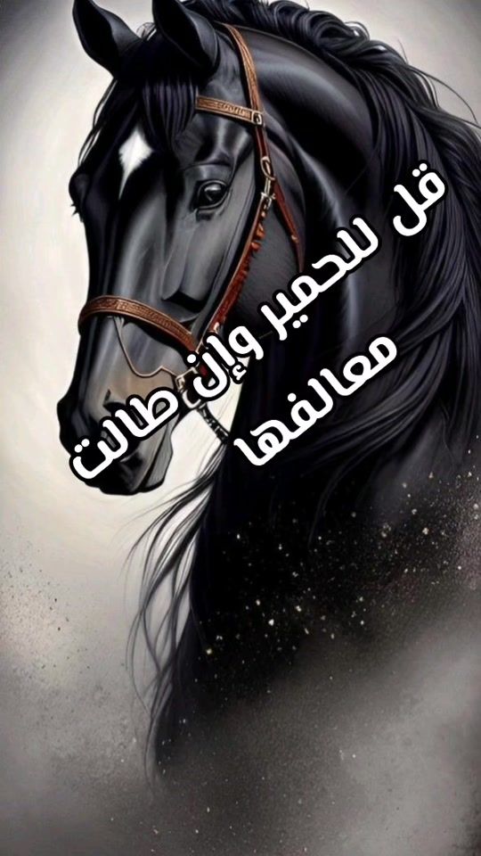 TikTok video thumbnail by world_nadia