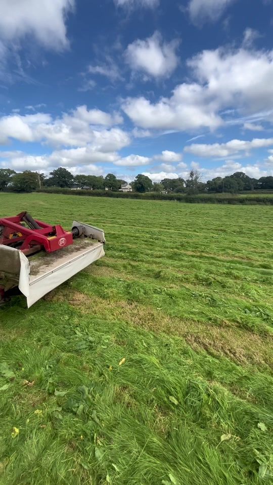 TikTok video thumbnail by theo_pratt