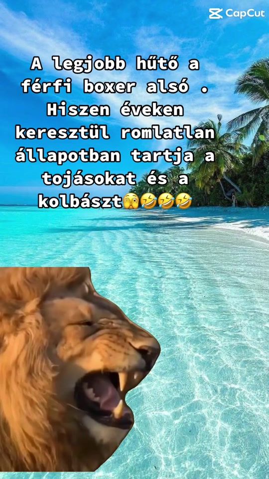 TikTok video thumbnail by nevessvelem8