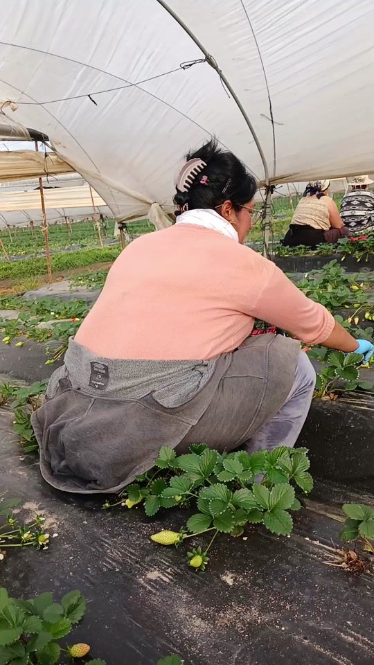 TikTok video thumbnail by claudia37rani