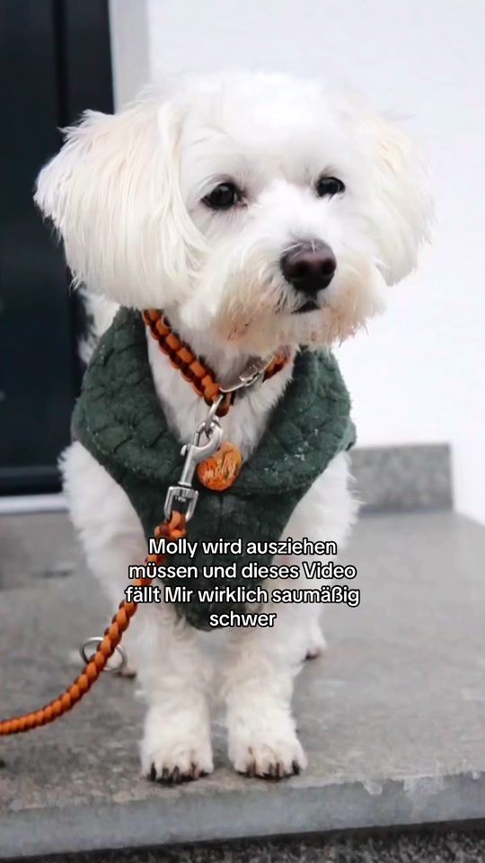 TikTok video thumbnail by malti.molly
