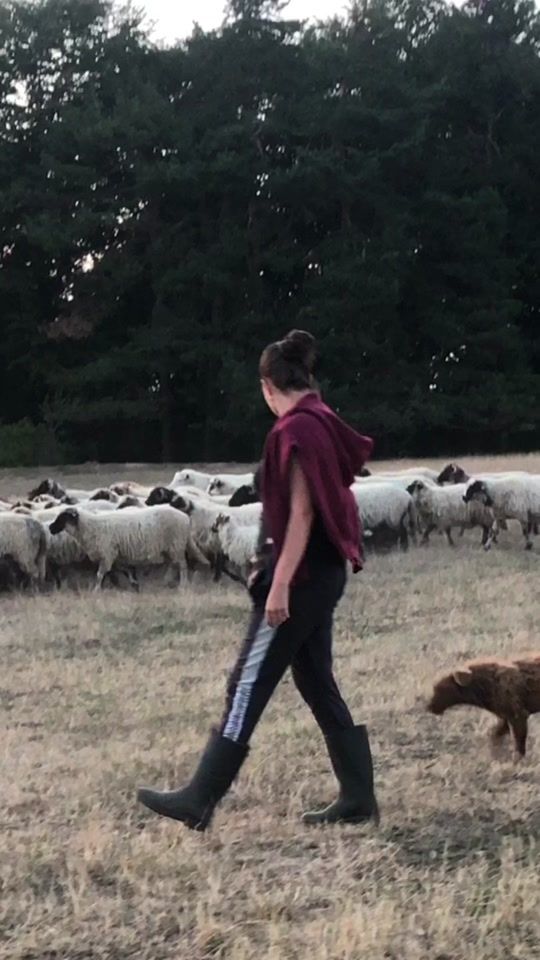 TikTok video thumbnail by loredana.iuliana_