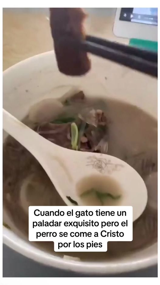 TikTok video thumbnail by edyreels