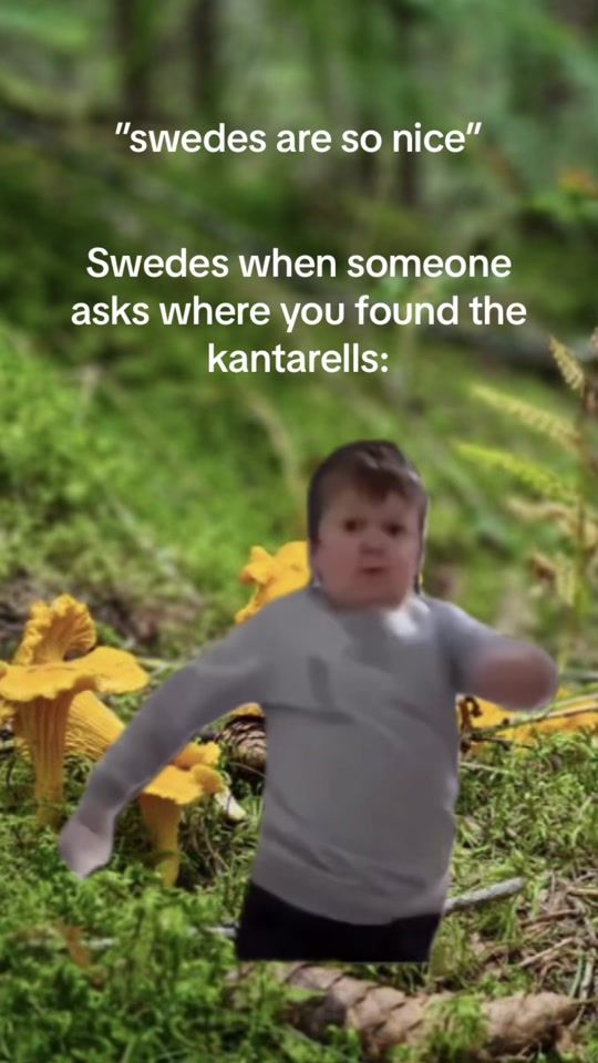 TikTok video thumbnail by hannahsandbergg