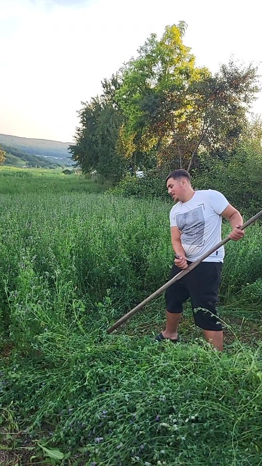 TikTok video thumbnail by mihaiju