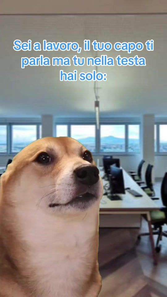 TikTok video thumbnail by mellyeto