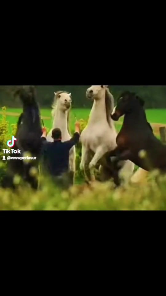 TikTok video thumbnail by wwwperlasur