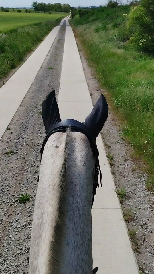 TikTok video thumbnail by tatis_schimmelchen