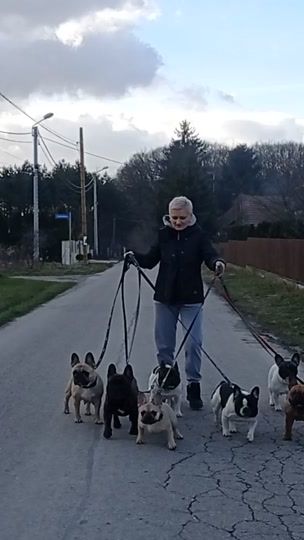 TikTok video thumbnail by galicyjskahordafci