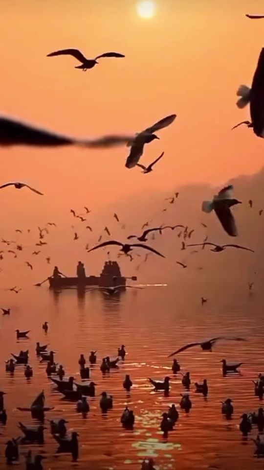 TikTok video thumbnail by mlaka183