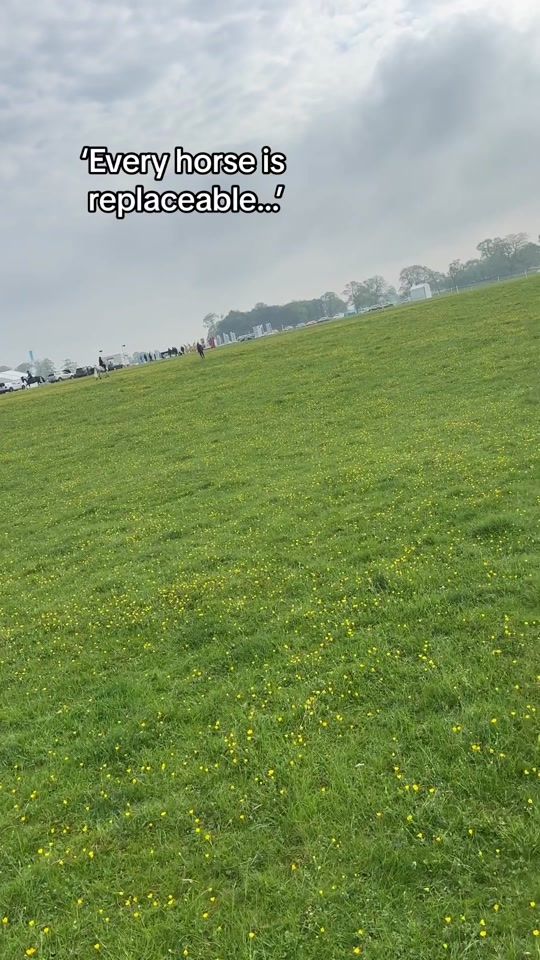 TikTok video thumbnail by beth_hobden_eventing