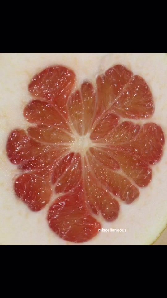 TikTok video thumbnail by l.iath