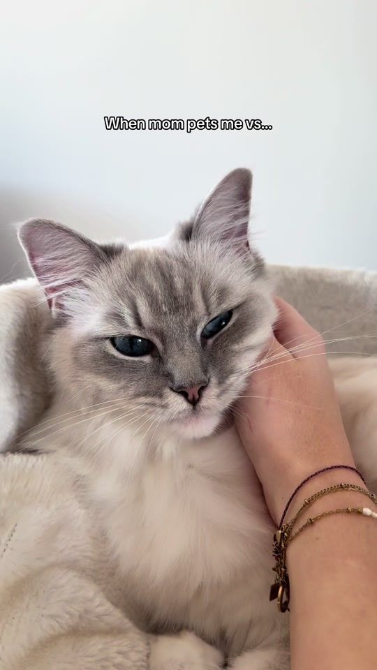 TikTok video thumbnail by ivi__nala