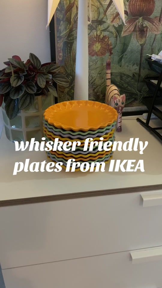 TikTok video thumbnail by 3crazywhiskers