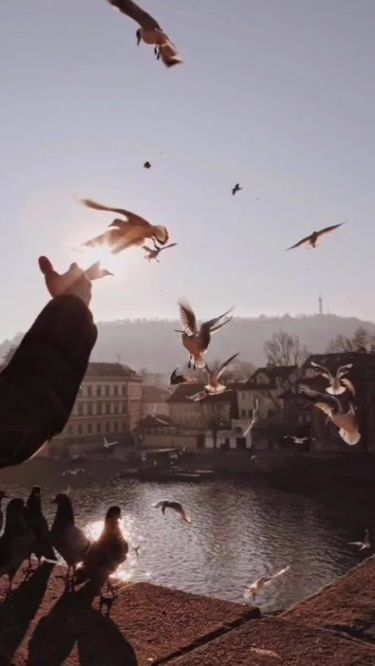 TikTok video thumbnail by fury9191