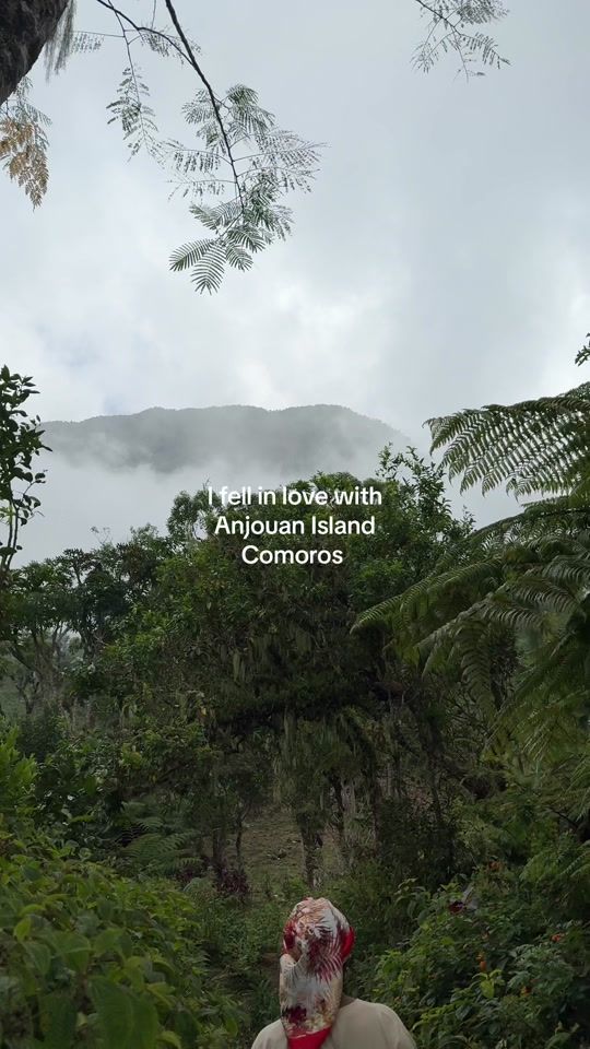 TikTok video thumbnail by applebeychi