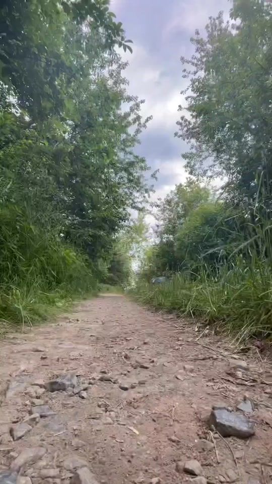 TikTok video thumbnail by jojoagri22