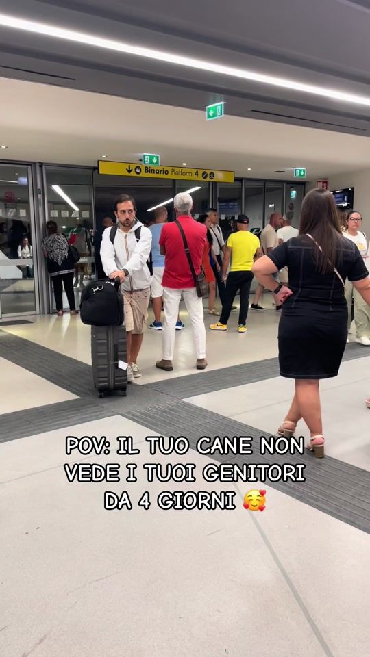 TikTok video thumbnail by marybilardi