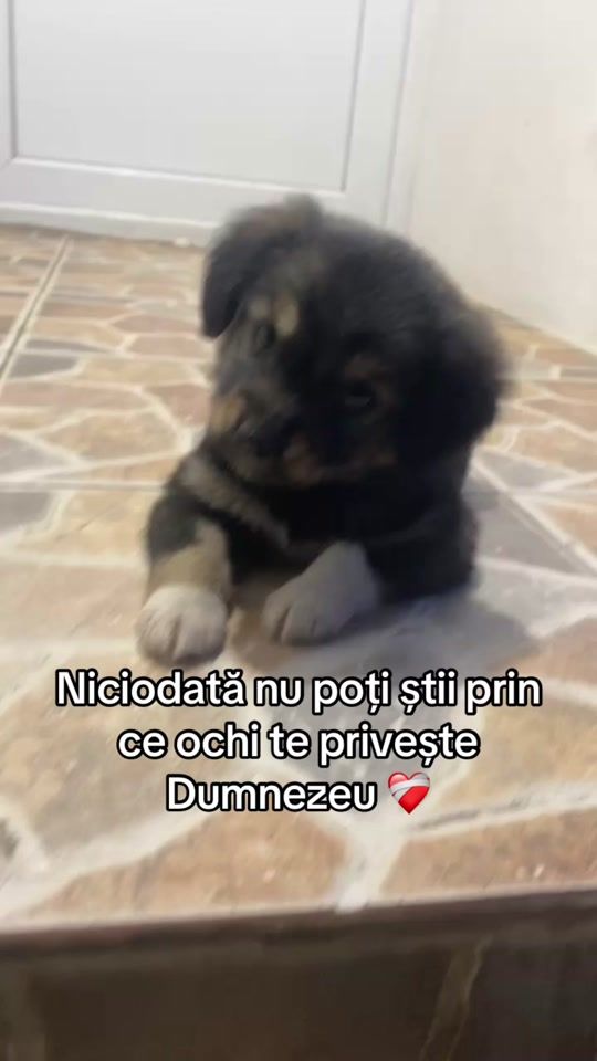 TikTok video thumbnail by georgianakristina7