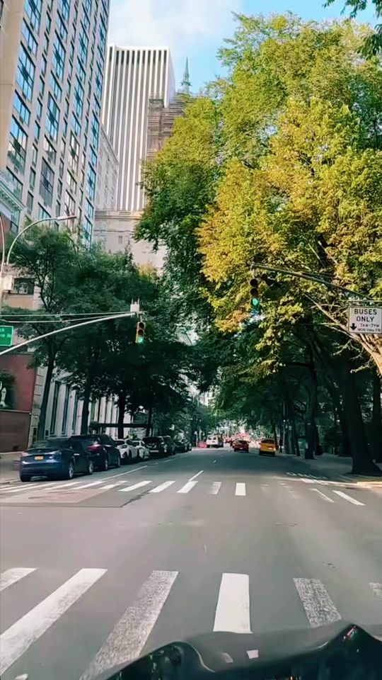 TikTok video thumbnail by maanka6565