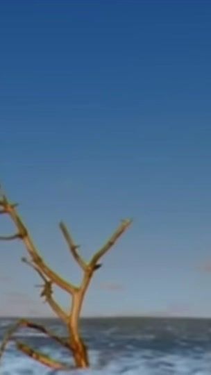 TikTok video thumbnail by _letras.de.cancioness_