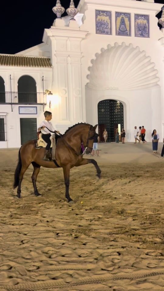 TikTok video thumbnail by c.h.elnaranjo