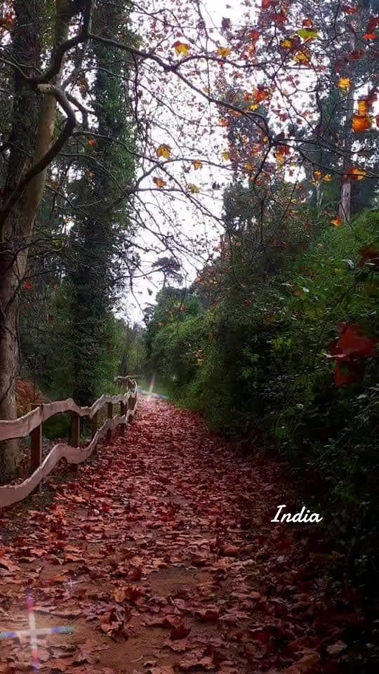 TikTok video thumbnail by indiadoamor