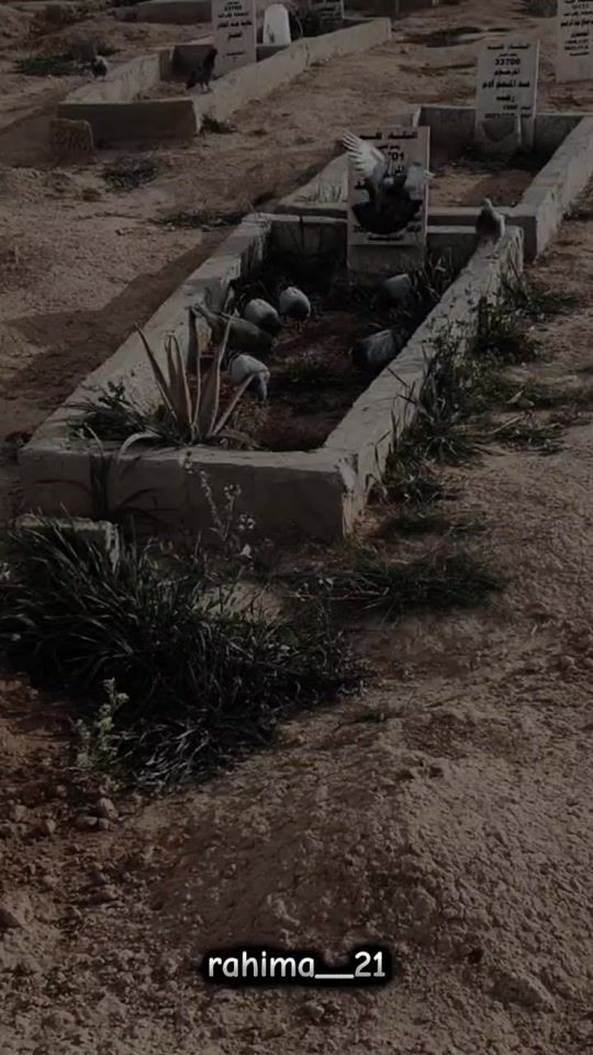 TikTok video thumbnail by rahmaofficiel05