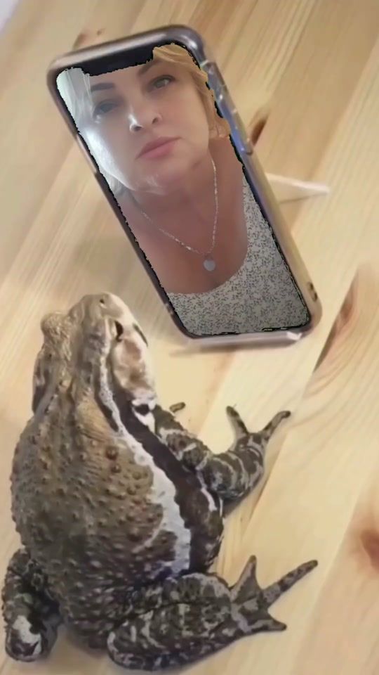 TikTok video thumbnail by 1973.10.22k_e