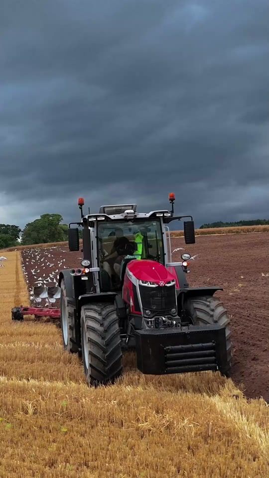 TikTok video thumbnail by alistair.scott